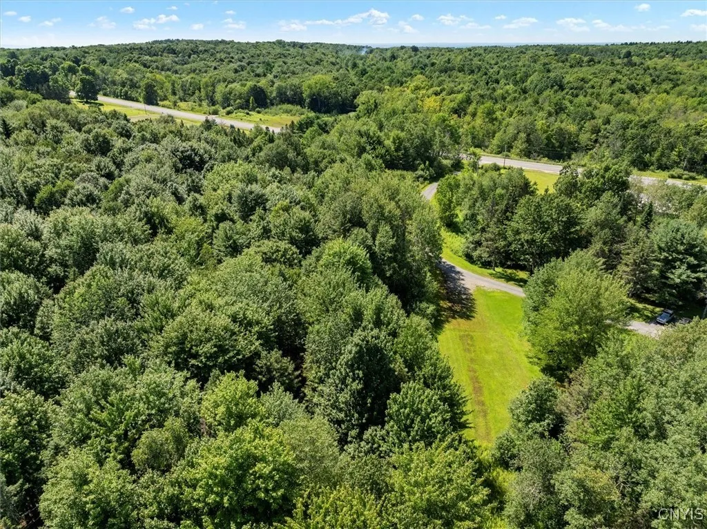 00 Trenton Road, Deerfield, New York 13502, Deerfield, New York 13502, ,Land,For Sale,00 Trenton Road, Deerfield, New York 13502,0,S1596559