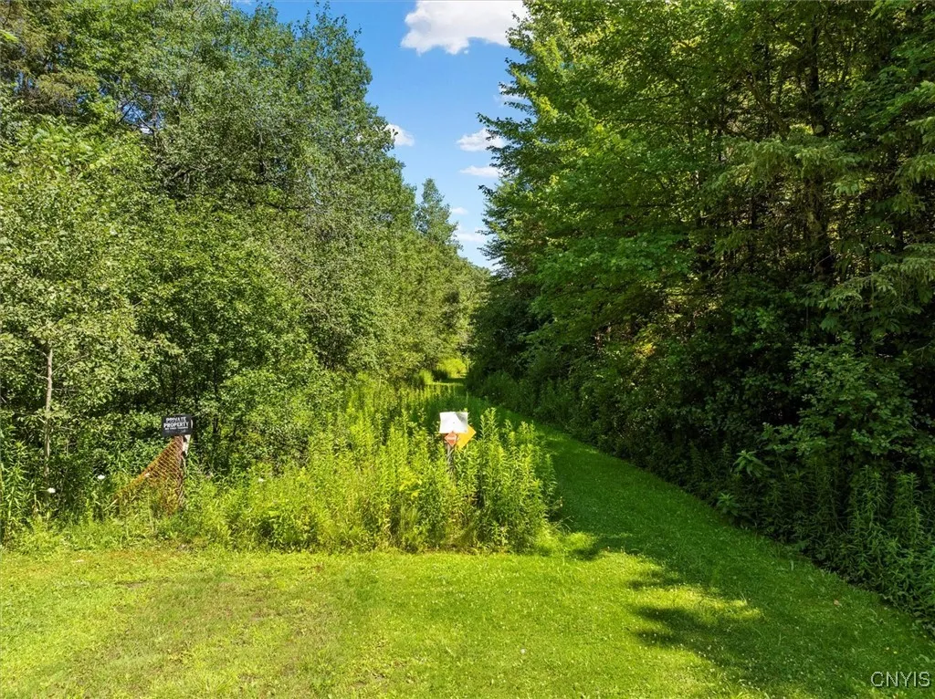 00 Trenton Road, Deerfield, New York 13502, Deerfield, New York 13502, ,Land,For Sale,00 Trenton Road, Deerfield, New York 13502,0,S1596559