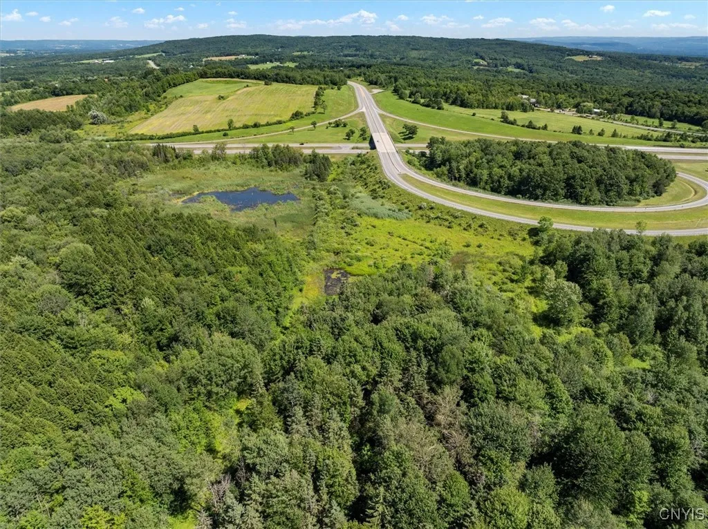 00 Trenton Road, Deerfield, New York 13502, Deerfield, New York 13502, ,Land,For Sale,00 Trenton Road, Deerfield, New York 13502,0,S1596559