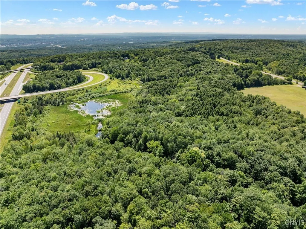 00 Trenton Road, Deerfield, New York 13502, Deerfield, New York 13502, ,Land,For Sale,00 Trenton Road, Deerfield, New York 13502,0,S1596559