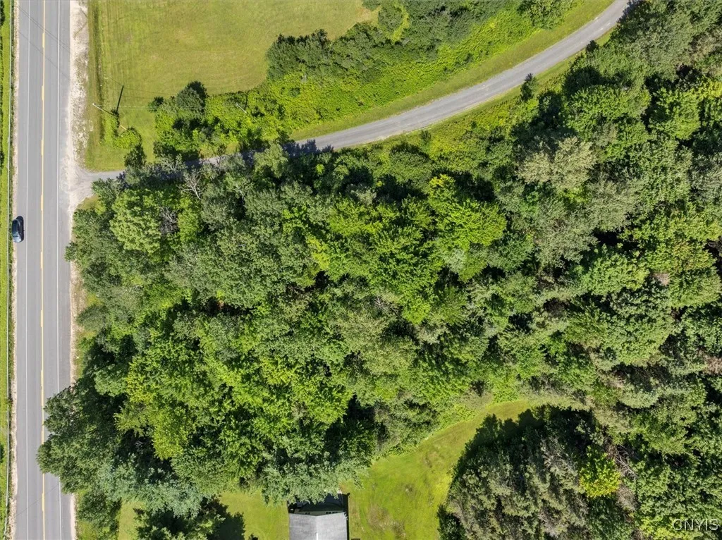 00 Trenton Road, Deerfield, New York 13502, Deerfield, New York 13502, ,Land,For Sale,00 Trenton Road, Deerfield, New York 13502,0,S1596559