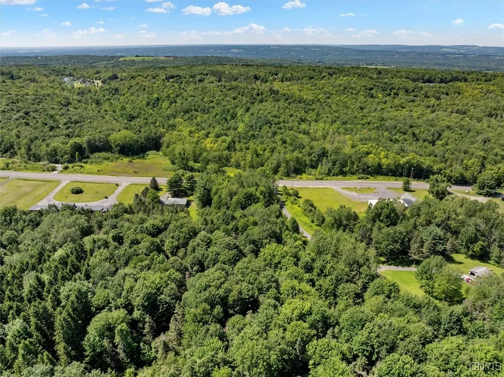 00 Trenton Road, Deerfield, New York 13502, Deerfield, New York 13502, ,Land,For Sale,00 Trenton Road, Deerfield, New York 13502,0,S1596559