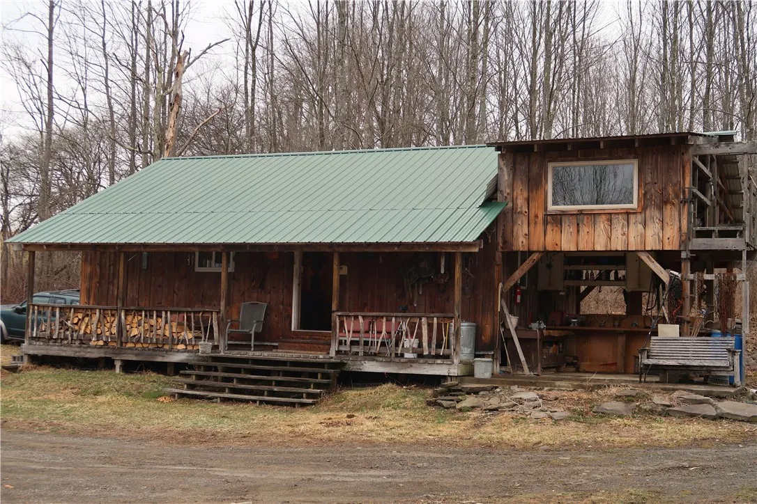5156 Carr Road, Willet, New York 13863, Willet, New York 13863, 2 Bedrooms Bedrooms, ,Land,For Sale,5156 Carr Road, Willet, New York 13863,0,R1596978