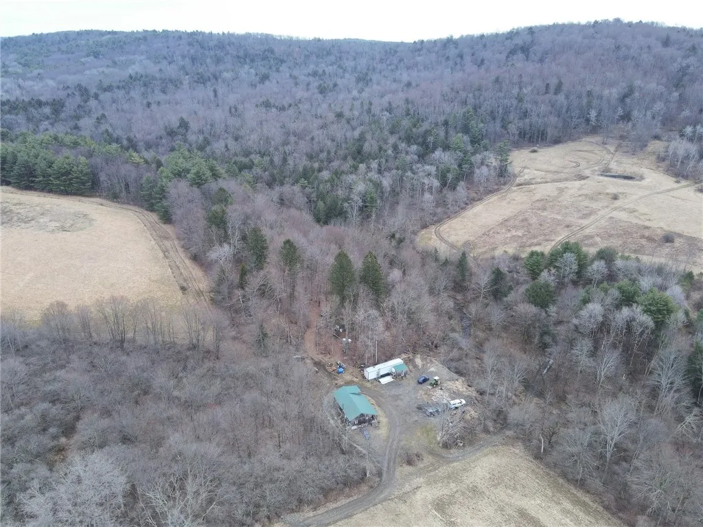 5156 Carr Road, Willet, New York 13863, Willet, New York 13863, 2 Bedrooms Bedrooms, ,Land,For Sale,5156 Carr Road, Willet, New York 13863,0,R1596978