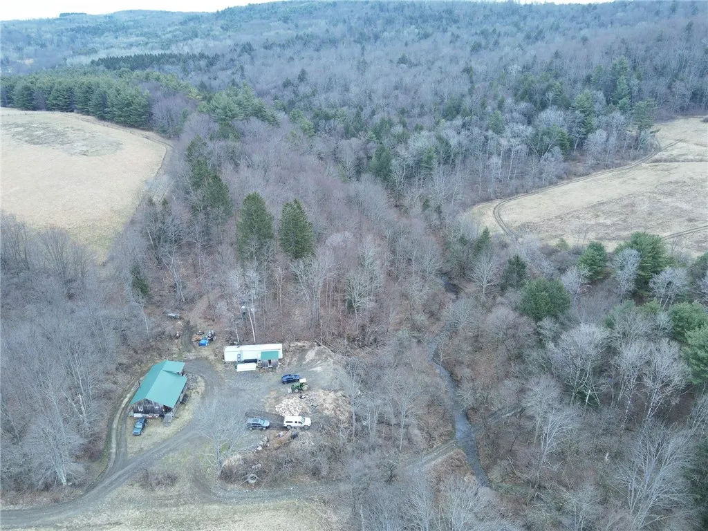 5156 Carr Road, Willet, New York 13863, Willet, New York 13863, 2 Bedrooms Bedrooms, ,Land,For Sale,5156 Carr Road, Willet, New York 13863,0,R1596978