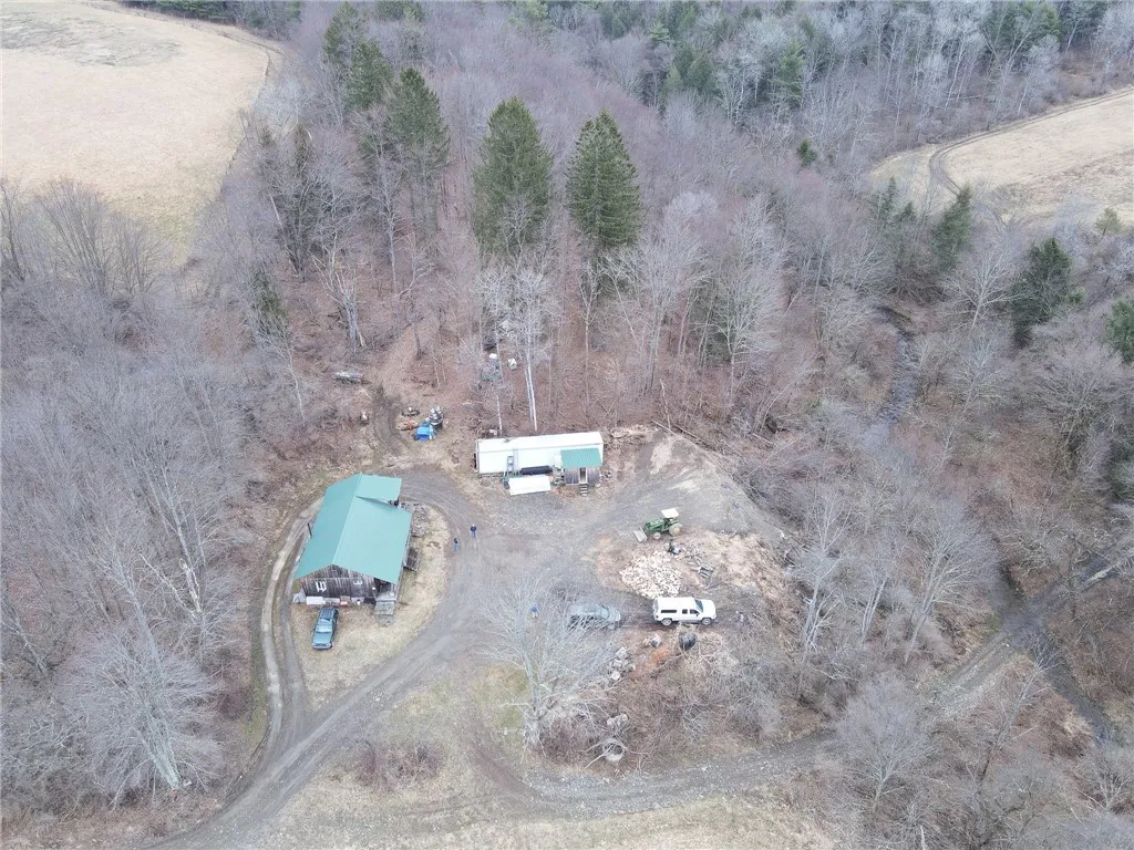 5156 Carr Road, Willet, New York 13863, Willet, New York 13863, 2 Bedrooms Bedrooms, ,Land,For Sale,5156 Carr Road, Willet, New York 13863,0,R1596978