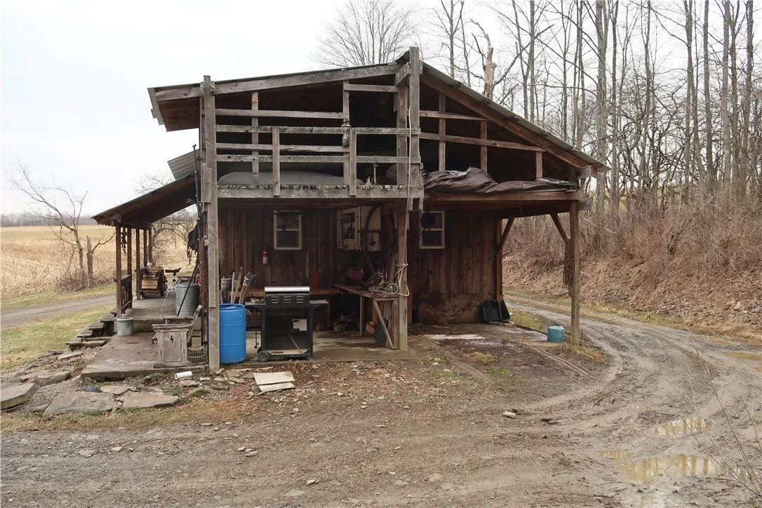 5156 Carr Road, Willet, New York 13863, Willet, New York 13863, 2 Bedrooms Bedrooms, ,Land,For Sale,5156 Carr Road, Willet, New York 13863,0,R1596978