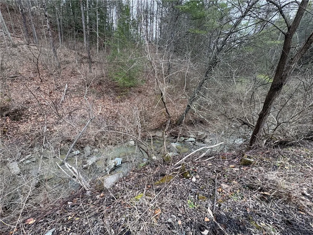 9495 Morgan Creek Road A, Lindley, New York 14858, Lindley, New York 14858, 4 Bedrooms Bedrooms, 7 Rooms Rooms,1 BathroomBathrooms,Residential,Closed,9495 Morgan Creek Road A, Lindley, New York 14858,0,R1596935