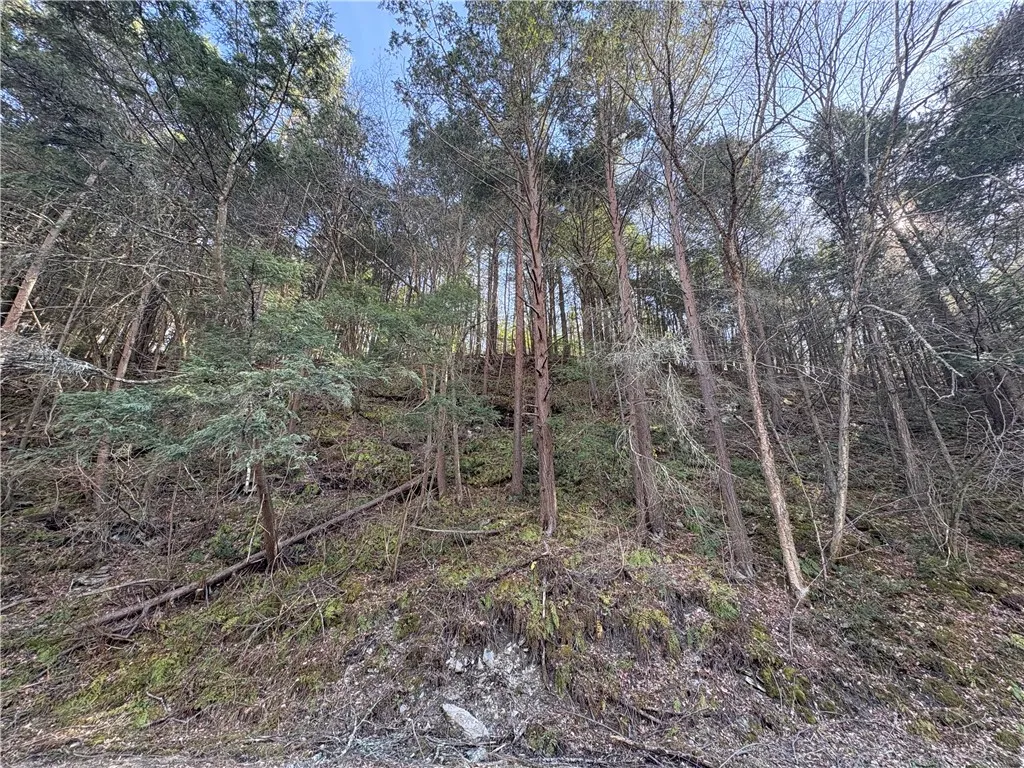 9495 Morgan Creek Road A, Lindley, New York 14858, Lindley, New York 14858, 4 Bedrooms Bedrooms, 7 Rooms Rooms,1 BathroomBathrooms,Residential,Closed,9495 Morgan Creek Road A, Lindley, New York 14858,0,R1596935