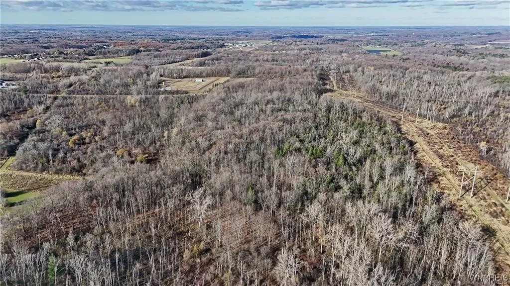 Vl Centerline (right Side) Road, Wales, New York 1, Wales, New York 14169, ,Land,Closed,Vl Centerline (right Side) Road, Wales, New York 1,0,B1597016