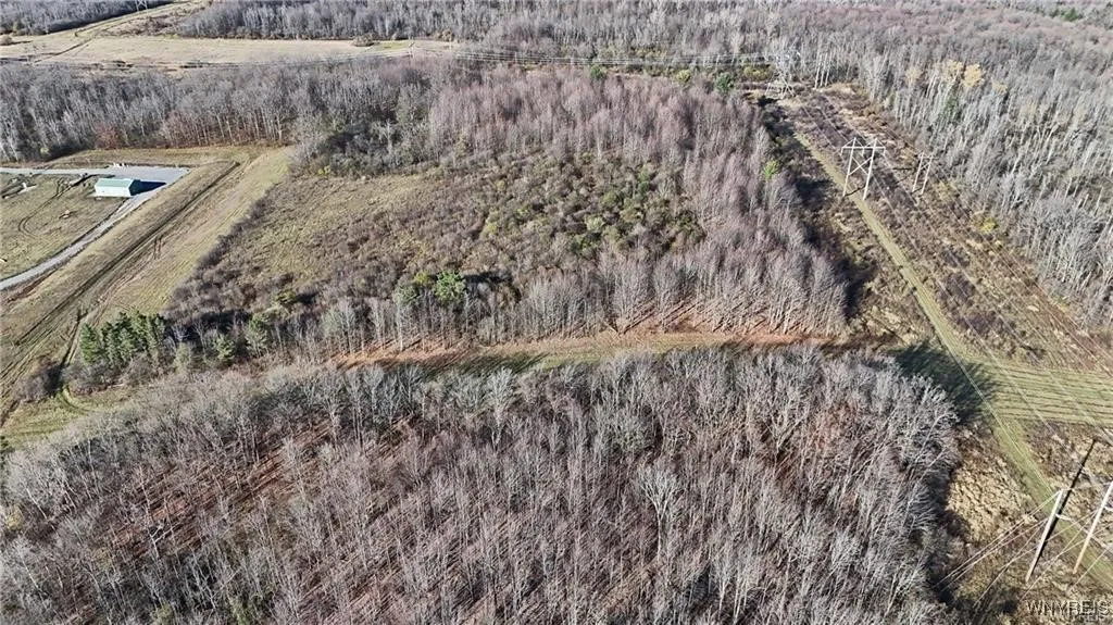 Vl Centerline (right Side) Road, Wales, New York 1, Wales, New York 14169, ,Land,Closed,Vl Centerline (right Side) Road, Wales, New York 1,0,B1597016