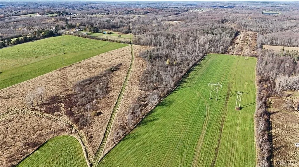 Vl Centerline (right Side) Road, Wales, New York 1, Wales, New York 14169, ,Land,Closed,Vl Centerline (right Side) Road, Wales, New York 1,0,B1597016