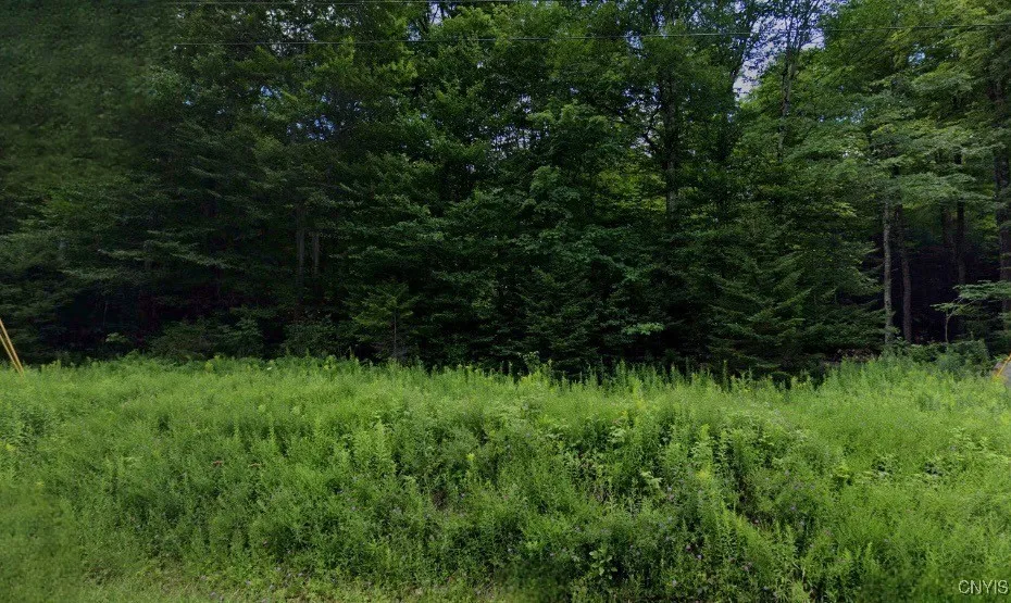 Rt-28, Webb, New York 13420, Webb, New York 13420, ,Land,Closed,Rt-28, Webb, New York 13420,0,S1594461