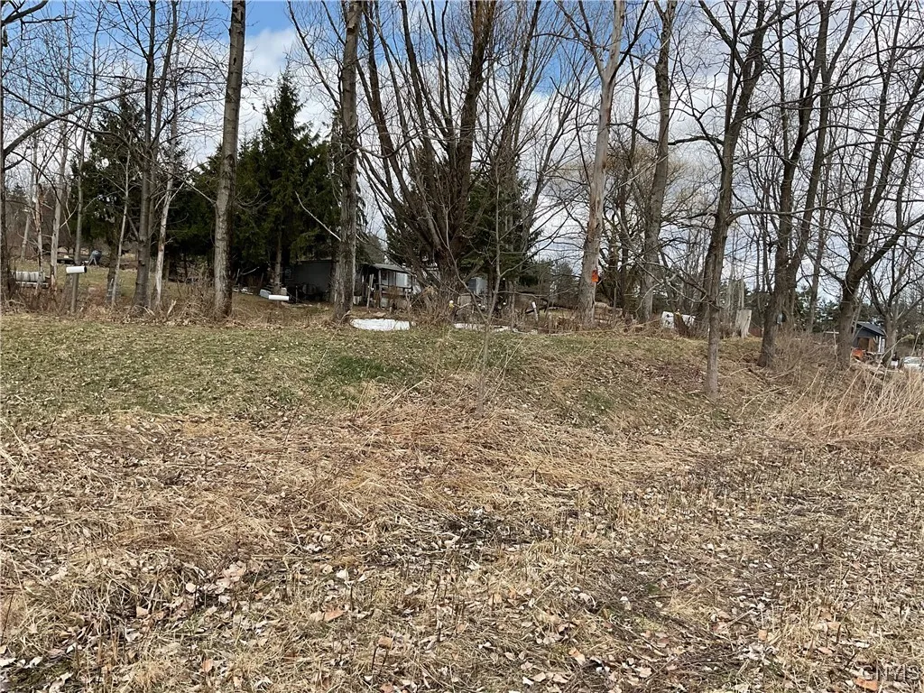 171 Harvey Hill Road, Enfield, New York 14850, Enfield, New York 14850, ,Land,Closed,171 Harvey Hill Road, Enfield, New York 14850,0,S1596629