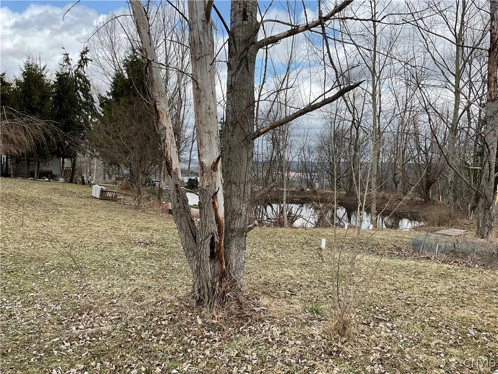 171 Harvey Hill Road, Enfield, New York 14850, Enfield, New York 14850, ,Land,Closed,171 Harvey Hill Road, Enfield, New York 14850,0,S1596629