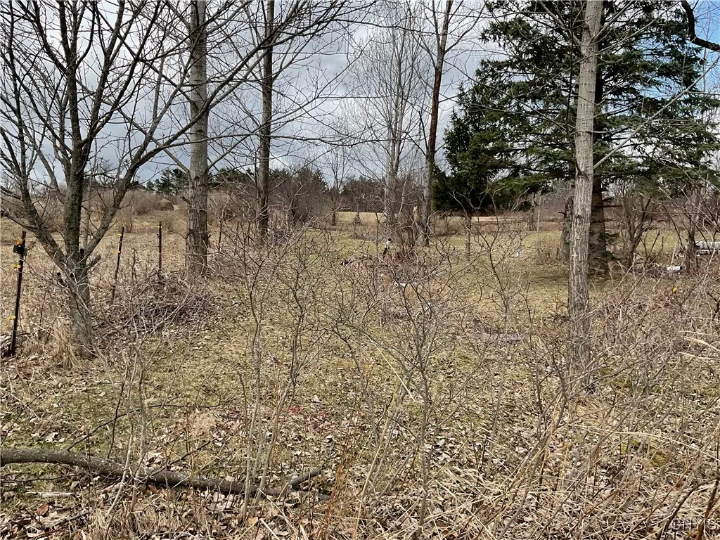 171 Harvey Hill Road, Enfield, New York 14850, Enfield, New York 14850, ,Land,Closed,171 Harvey Hill Road, Enfield, New York 14850,0,S1596629