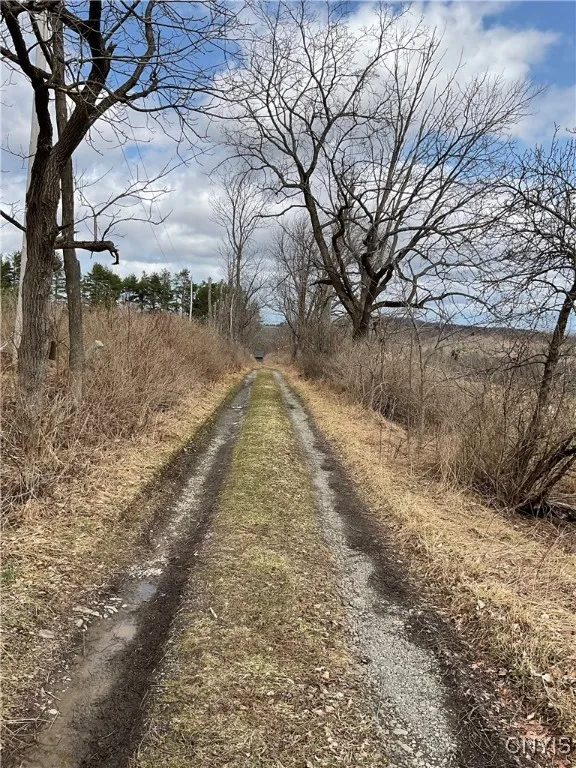 171 Harvey Hill Road, Enfield, New York 14850, Enfield, New York 14850, ,Land,Closed,171 Harvey Hill Road, Enfield, New York 14850,0,S1596629