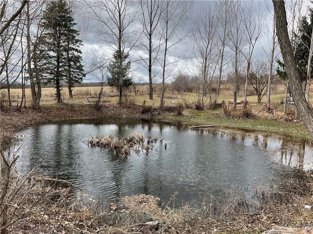 171 Harvey Hill Road, Enfield, New York 14850, Enfield, New York 14850, ,Land,Closed,171 Harvey Hill Road, Enfield, New York 14850,0,S1596629