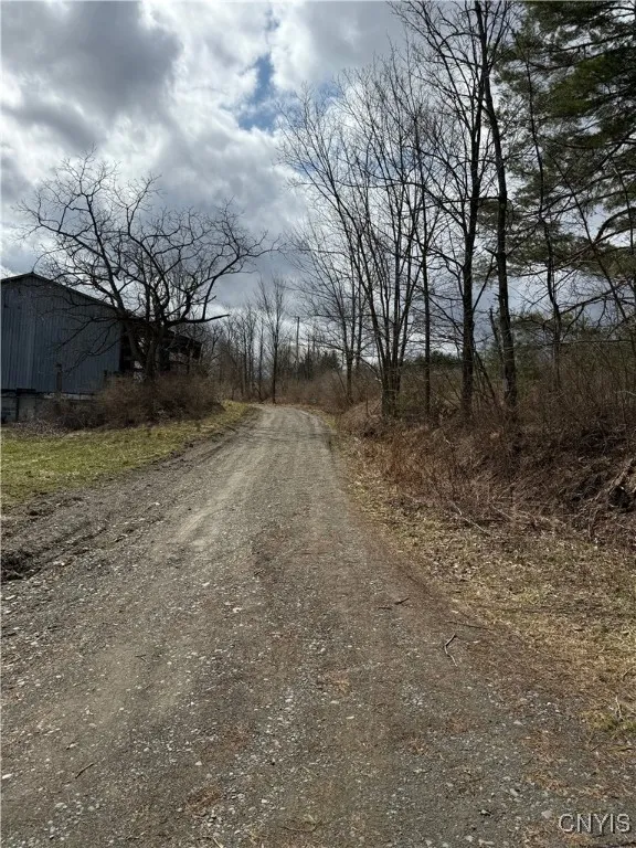 171 Harvey Hill Road, Enfield, New York 14850, Enfield, New York 14850, ,Land,Closed,171 Harvey Hill Road, Enfield, New York 14850,0,S1596629