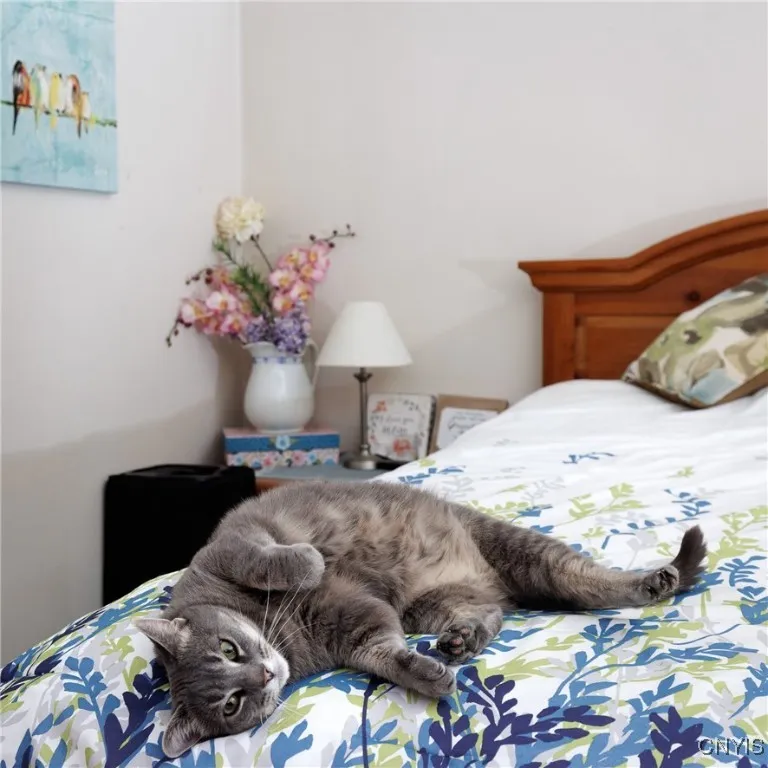 187 Bishop Street, Watertown-city, New York 13601, Watertown City, New York 13601, 3 Bedrooms Bedrooms, 8 Rooms Rooms,1 BathroomBathrooms,Residential,For Sale,187 Bishop Street, Watertown-city, New York 13601,S1597404