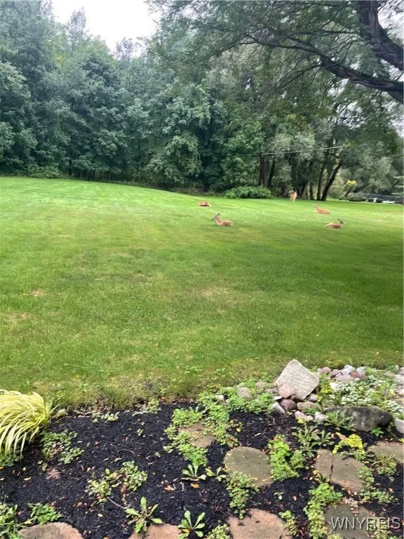 9005 Cliffside Drive, Clarence, New York 14031, Clarence, New York 14031, 4 Bedrooms Bedrooms, 11 Rooms Rooms,3 BathroomsBathrooms,Residential,Closed,9005 Cliffside Drive, Clarence, New York 14031,0,B1597453