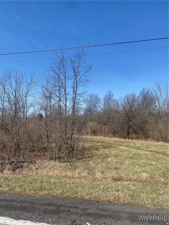 1955 Youngstown Wilson Road, Porter, New York 1413, Porter, New York 14131, ,Land,Closed,1955 Youngstown Wilson Road, Porter, New York 1413,0,B1597473