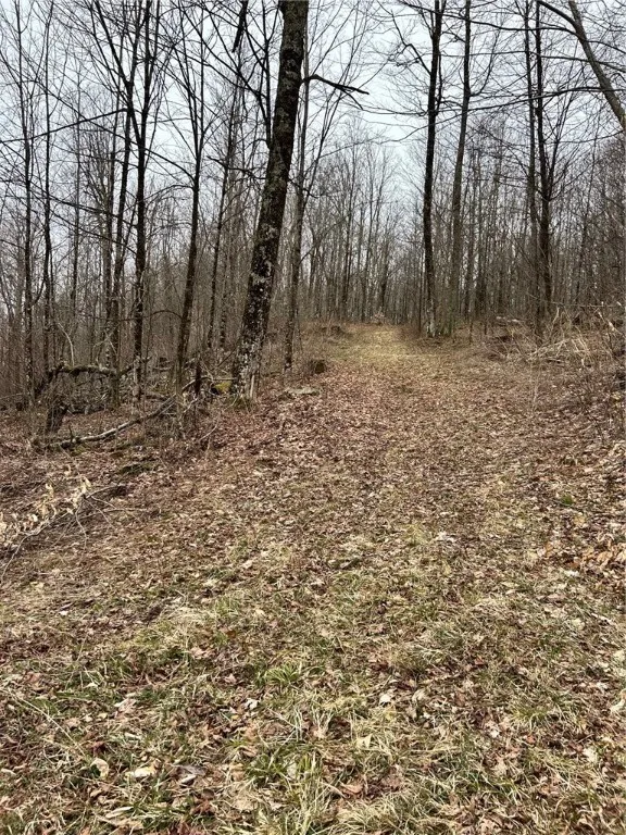 323 County Road 19, Preston, New York 13815, Preston, New York 13815, ,Land,For Sale,323 County Road 19, Preston, New York 13815,0,R1597184