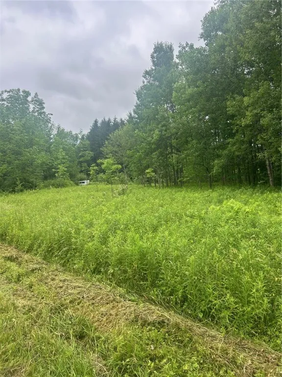 323 County Road 19, Preston, New York 13815, Preston, New York 13815, ,Land,For Sale,323 County Road 19, Preston, New York 13815,0,R1597184
