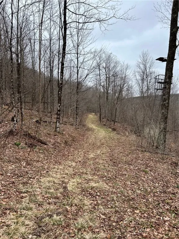 323 County Road 19, Preston, New York 13815, Preston, New York 13815, ,Land,For Sale,323 County Road 19, Preston, New York 13815,0,R1597184