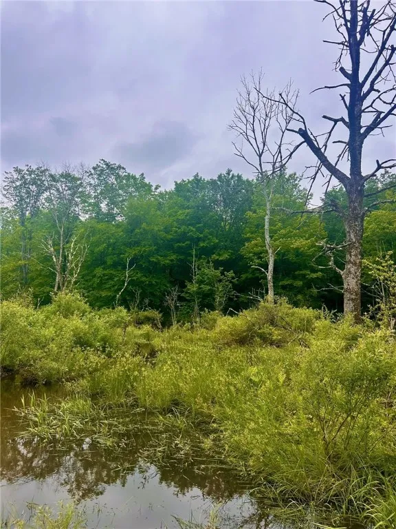 323 County Road 19, Preston, New York 13815, Preston, New York 13815, ,Land,For Sale,323 County Road 19, Preston, New York 13815,0,R1597184