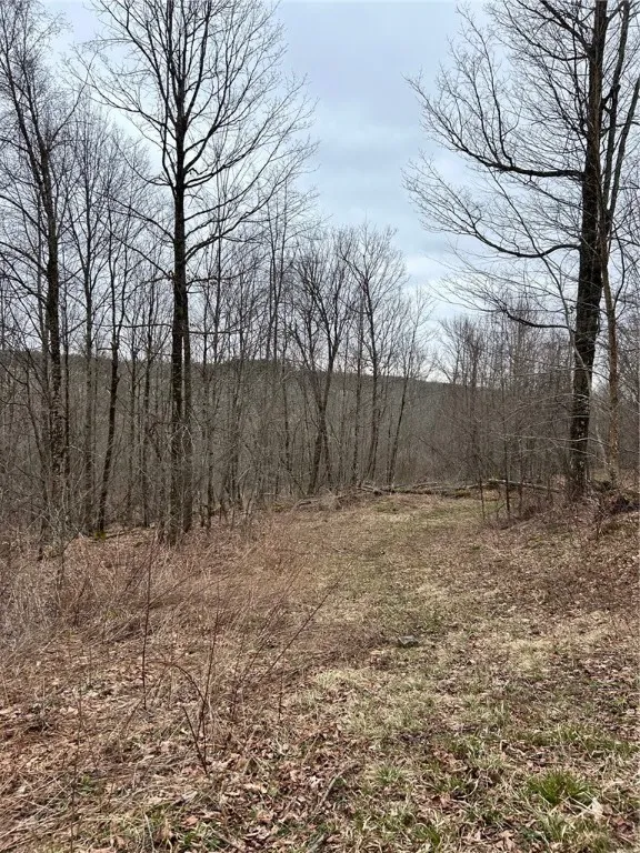 323 County Road 19, Preston, New York 13815, Preston, New York 13815, ,Land,For Sale,323 County Road 19, Preston, New York 13815,0,R1597184