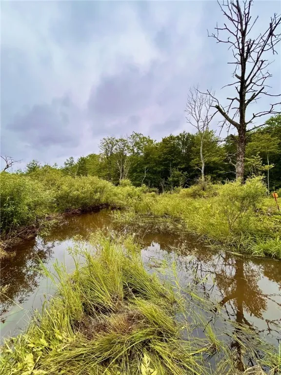 323 County Road 19, Preston, New York 13815, Preston, New York 13815, ,Land,For Sale,323 County Road 19, Preston, New York 13815,0,R1597184