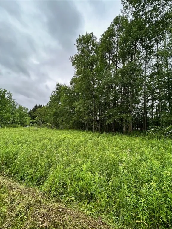 323 County Road 19, Preston, New York 13815, Preston, New York 13815, ,Land,For Sale,323 County Road 19, Preston, New York 13815,0,R1597184