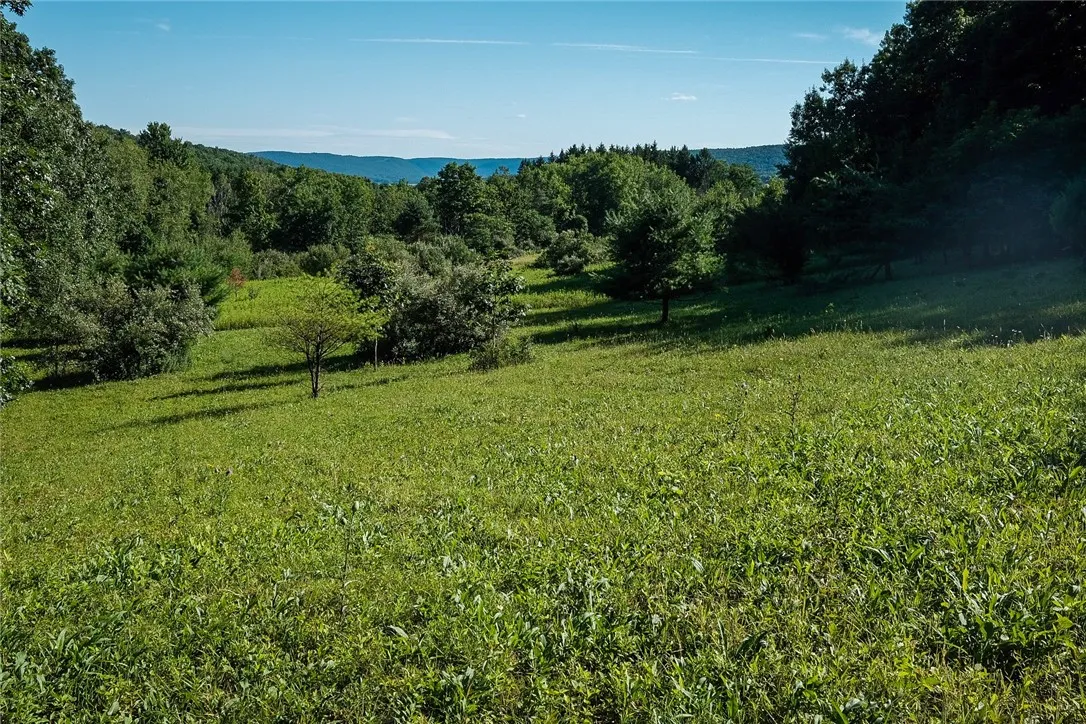 Mcfail Road, Catlin, New York 14845, Catlin, New York 14845, ,Land,For Sale,Mcfail Road, Catlin, New York 14845,R1597518