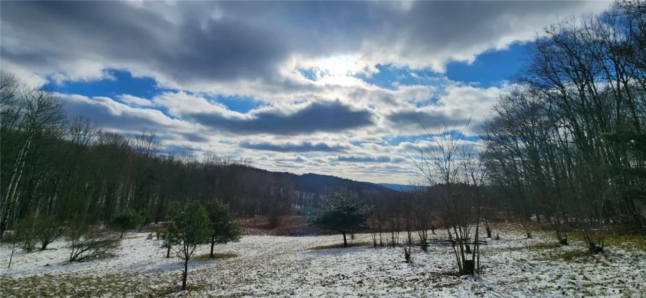 Mcfail Road, Catlin, New York 14845, Catlin, New York 14845, ,Land,For Sale,Mcfail Road, Catlin, New York 14845,R1597518