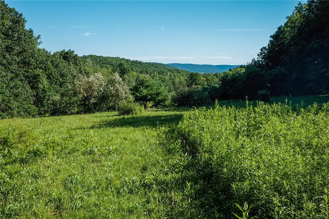 Mcfail Road, Catlin, New York 14845, Catlin, New York 14845, ,Land,For Sale,Mcfail Road, Catlin, New York 14845,R1597518
