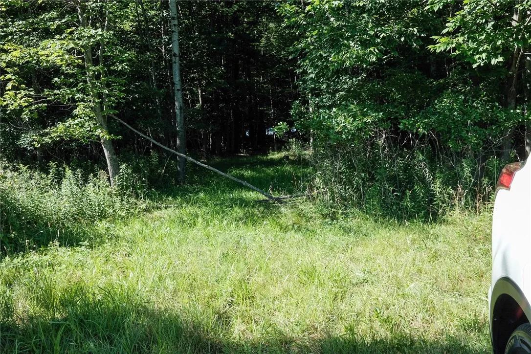 Mcfail Road, Catlin, New York 14845, Catlin, New York 14845, ,Land,For Sale,Mcfail Road, Catlin, New York 14845,R1597518