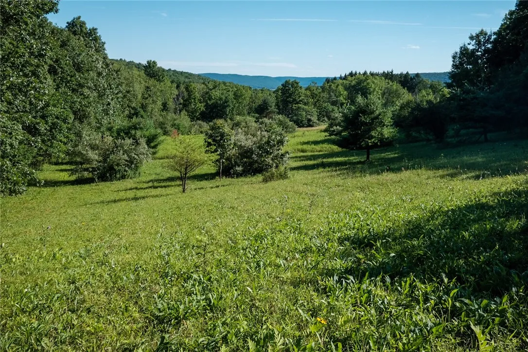 Mcfail Road, Catlin, New York 14845, Catlin, New York 14845, ,Land,For Sale,Mcfail Road, Catlin, New York 14845,R1597518