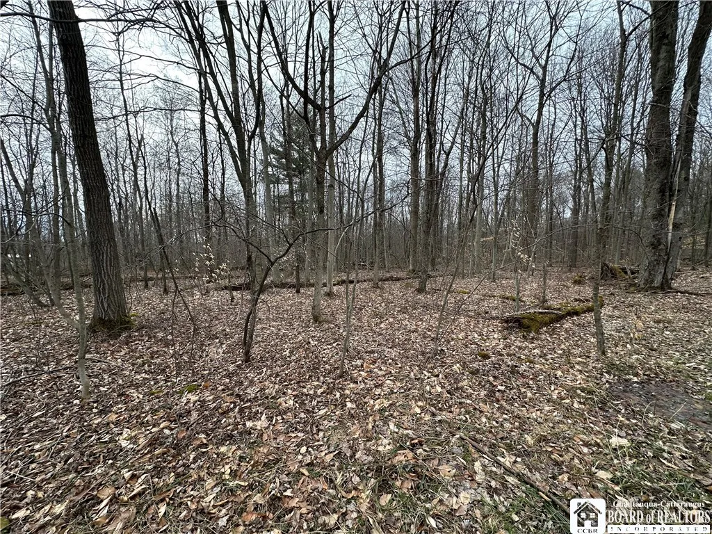 848 Porter Road, Lyndon, New York 14737, Lyndon, New York 14737, 2 Bedrooms Bedrooms, 9 Rooms Rooms,1 BathroomBathrooms,Residential,Closed,848 Porter Road, Lyndon, New York 14737,0,R1596551