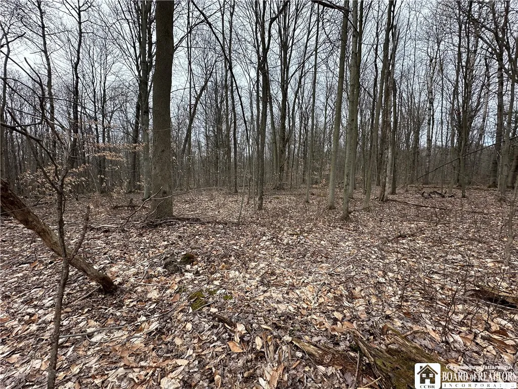 848 Porter Road, Lyndon, New York 14737, Lyndon, New York 14737, 2 Bedrooms Bedrooms, 9 Rooms Rooms,1 BathroomBathrooms,Residential,Closed,848 Porter Road, Lyndon, New York 14737,0,R1596551