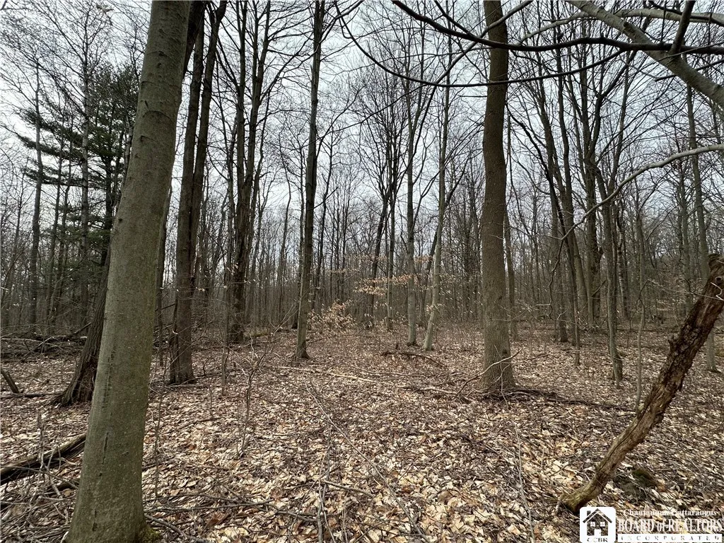 848 Porter Road, Lyndon, New York 14737, Lyndon, New York 14737, 2 Bedrooms Bedrooms, 9 Rooms Rooms,1 BathroomBathrooms,Residential,Closed,848 Porter Road, Lyndon, New York 14737,0,R1596551