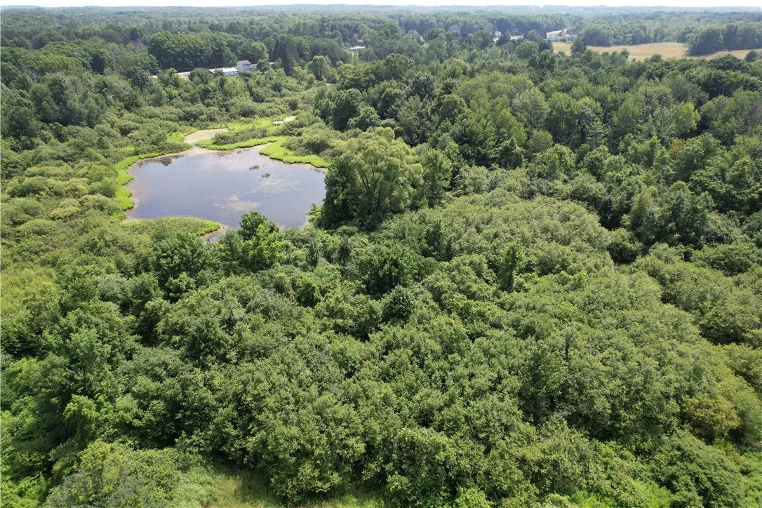 Mason Road, New Haven, New York 13114, New Haven, New York 13114, ,Land,For Sale,Mason Road, New Haven, New York 13114,R1597783
