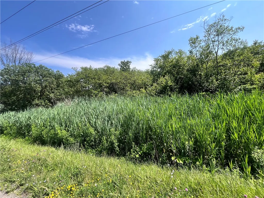 Mason Road, New Haven, New York 13114, New Haven, New York 13114, ,Land,For Sale,Mason Road, New Haven, New York 13114,R1597783