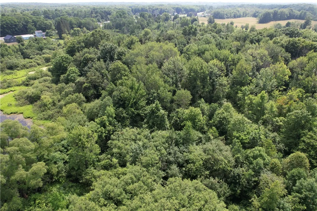 Mason Road, New Haven, New York 13114, New Haven, New York 13114, ,Land,For Sale,Mason Road, New Haven, New York 13114,R1597783
