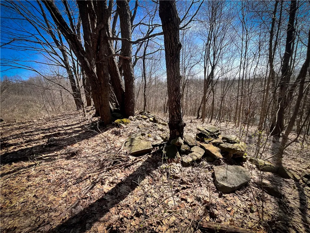 Mason Road, New Haven, New York 13114, New Haven, New York 13114, ,Land,For Sale,Mason Road, New Haven, New York 13114,R1597783