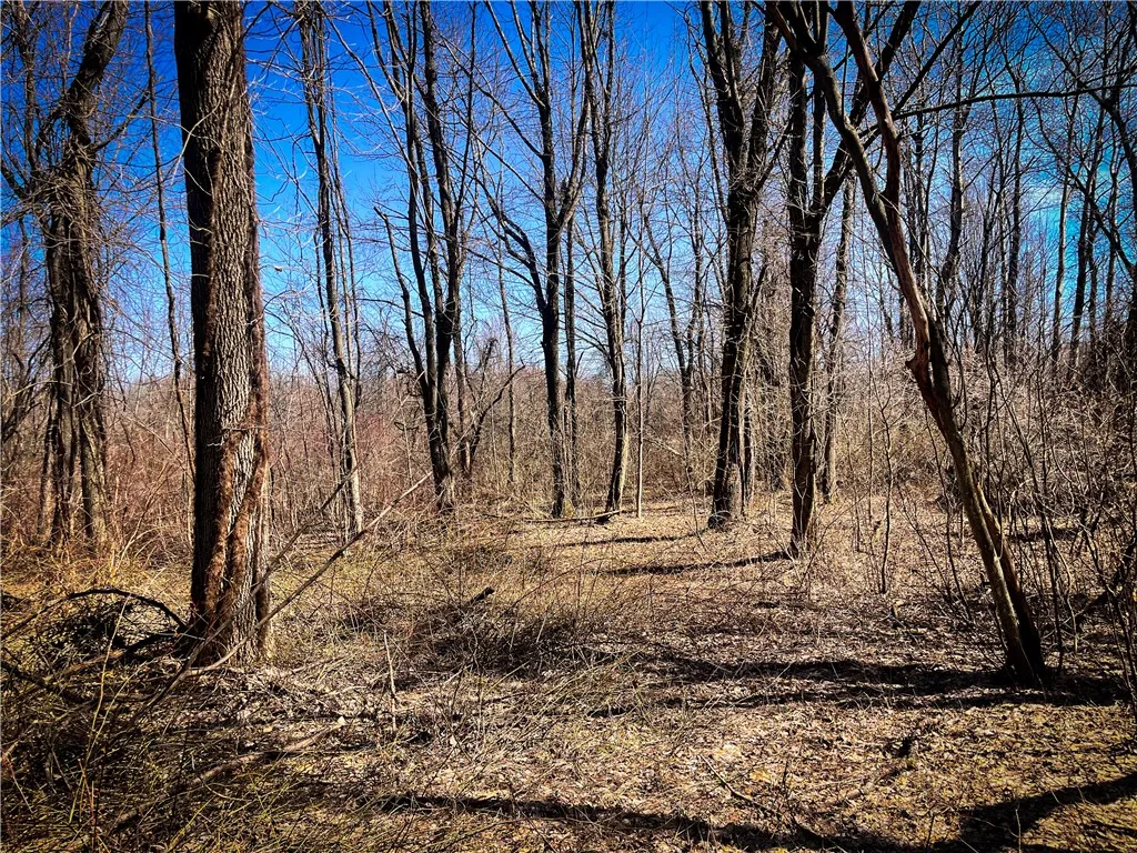 Mason Road, New Haven, New York 13114, New Haven, New York 13114, ,Land,For Sale,Mason Road, New Haven, New York 13114,R1597783
