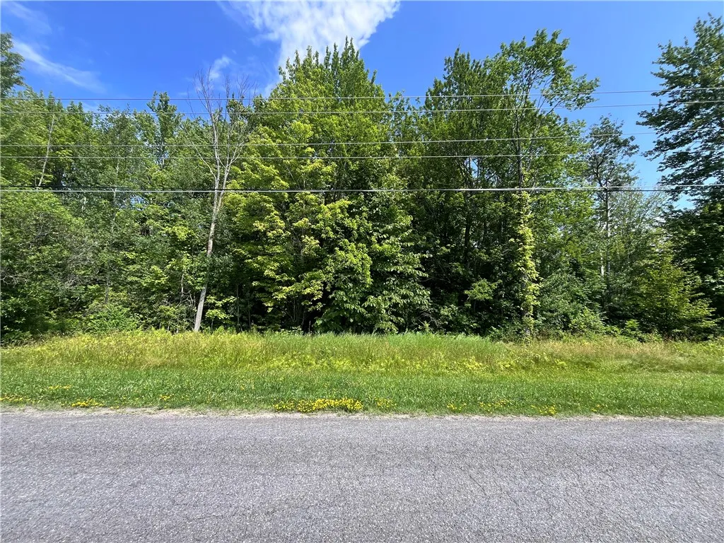 Mason Road, New Haven, New York 13114, New Haven, New York 13114, ,Land,For Sale,Mason Road, New Haven, New York 13114,R1597783
