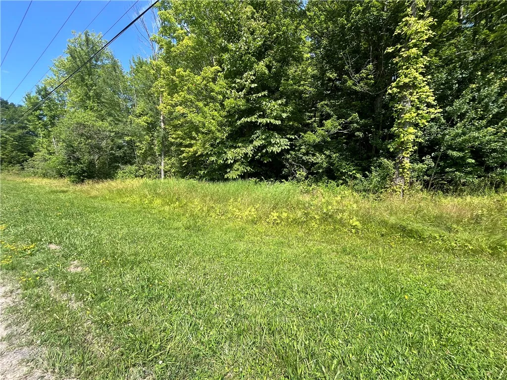 Mason Road, New Haven, New York 13114, New Haven, New York 13114, ,Land,For Sale,Mason Road, New Haven, New York 13114,R1597783