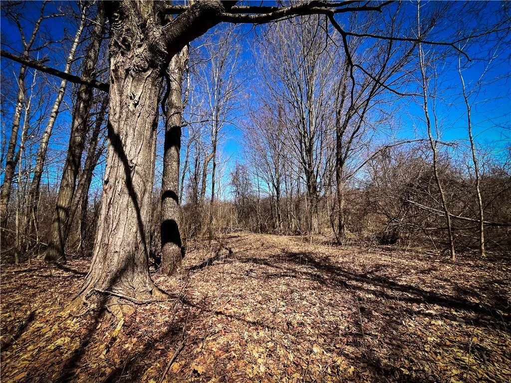 Mason Road, New Haven, New York 13114, New Haven, New York 13114, ,Land,For Sale,Mason Road, New Haven, New York 13114,R1597783