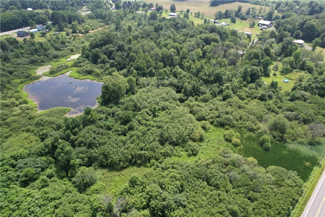 Mason Road, New Haven, New York 13114, New Haven, New York 13114, ,Land,For Sale,Mason Road, New Haven, New York 13114,R1597783